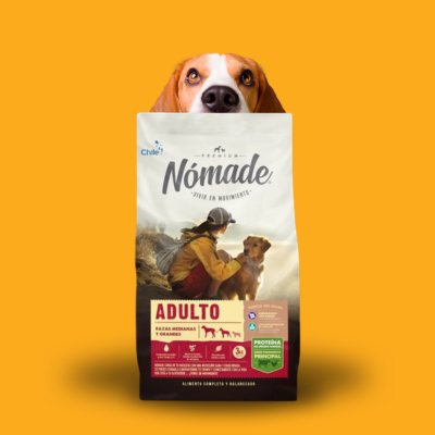 Alimentos
