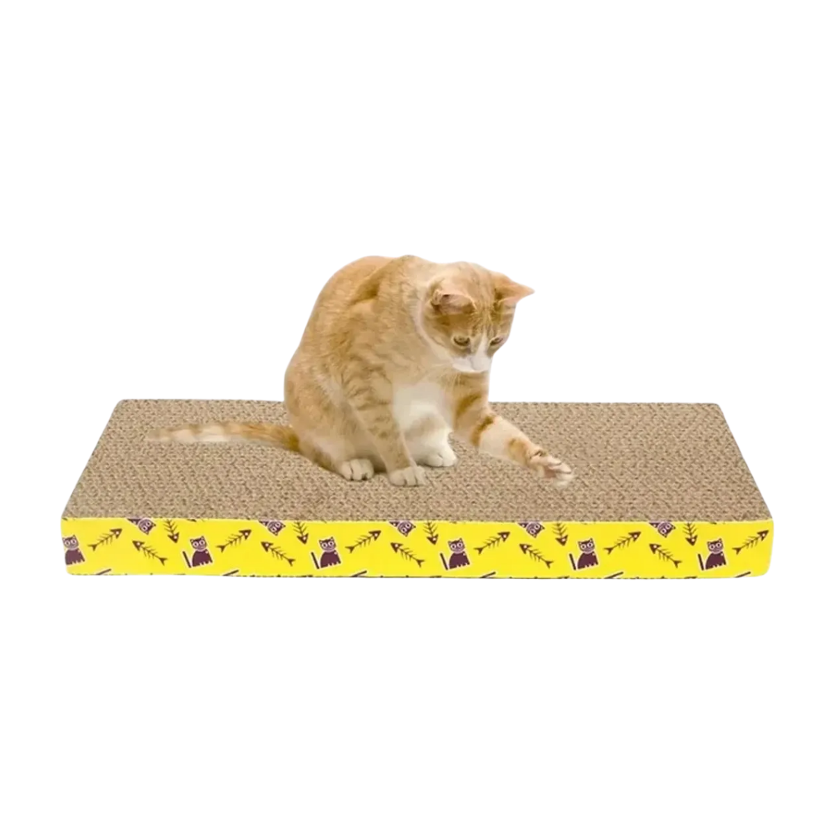 Rascador 45x21x5