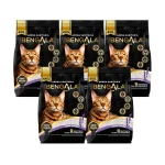 Pack Ahorro Arena Bengala 20 kg (5x4 kg) - Aroma Lavanda